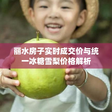 丽水房子实时成交价与统一冰糖雪梨价格解析