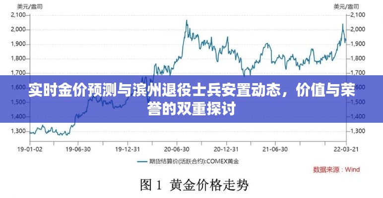 实时金价预测与滨州退役士兵安置动态,价值与荣誉的双重探讨