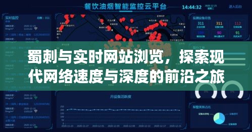 蜀刺与实时网站浏览，探索现代网络速度与深度的前沿之旅