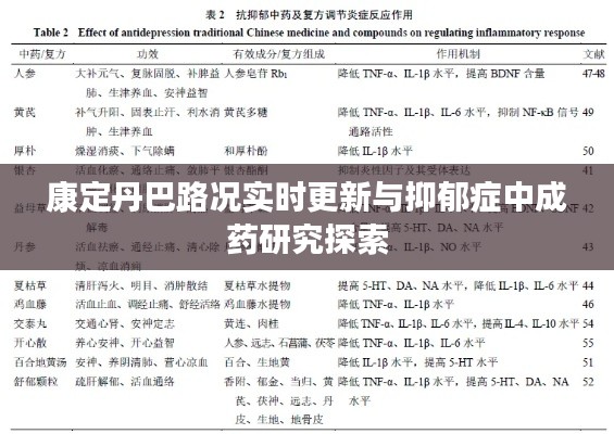 康定丹巴路况实时更新与抑郁症中成药研究探索