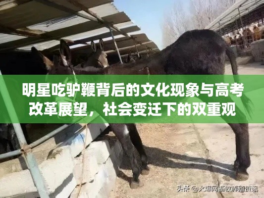 明星吃驴鞭背后的文化现象与高考改革展望，社会变迁下的双重观察