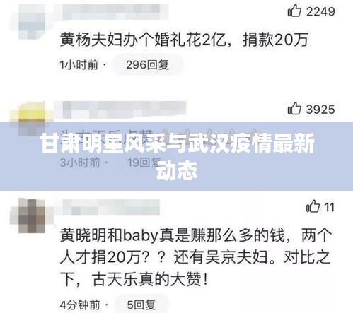 甘肃明星风采与武汉疫情最新动态