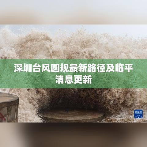 深圳台风圆规最新路径及临平消息更新